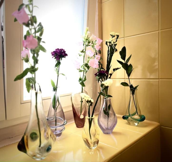 Sunny City - Apartment In Spa Zone With Private Garage Karlsbad Buitenkant foto